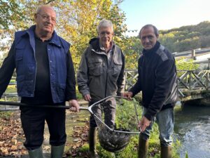 1000 farios dans la rivière